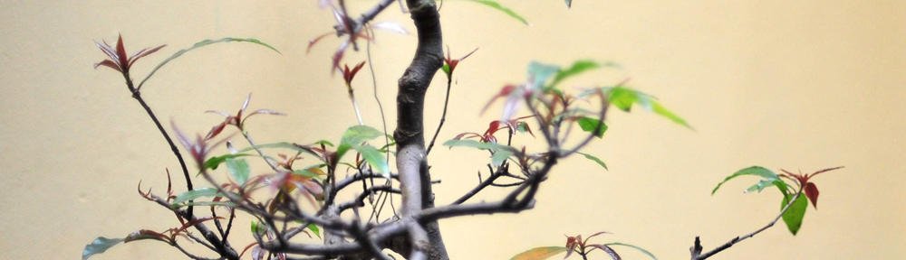 Reception TH Allerton CE Primary, Leeds